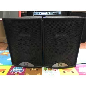 Loa hội trường Martin F12