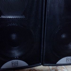 Loa hội trường Martin F12