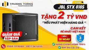 Loa JBL STX818S