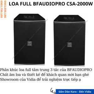 Loa Karaoke BFAudio Pro CSA-2000W