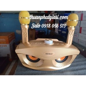 Loa karaoke bluetooth SD-306