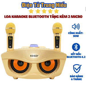 Loa karaoke bluetooth SD-306