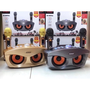 Loa karaoke bluetooth SDRD 306
