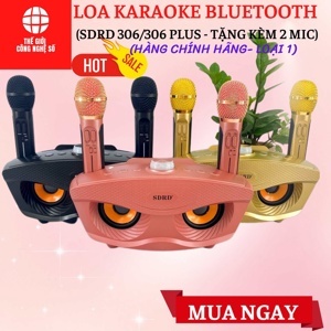 Loa karaoke bluetooth SDRD 306