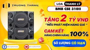 Loa Karaoke BMB CSE-310II