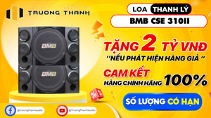 Loa Karaoke BMB CSE-310II