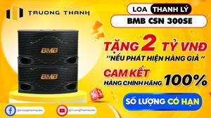 Loa karaoke BMB CSN-300SE