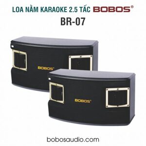 Loa Karaoke BOBOS BR 07