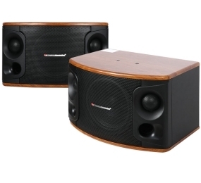 Loa Karaoke Boston Acoustics MD510