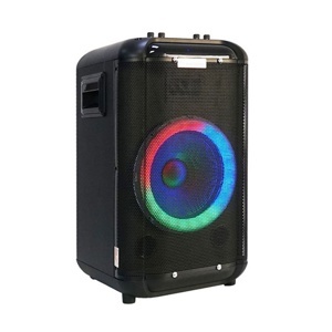 Loa karaoke CA Sound K-110