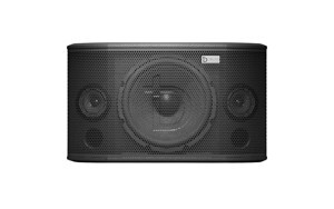 Loa karaoke CA Sound X-10