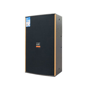 Loa karaoke CAF HN-12