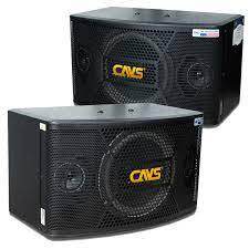 Loa Karaoke CAVS MP10