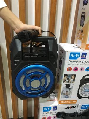 Loa karaoke CS-19