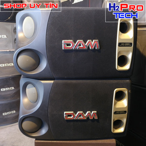 Loa karaoke DAM 1000EX