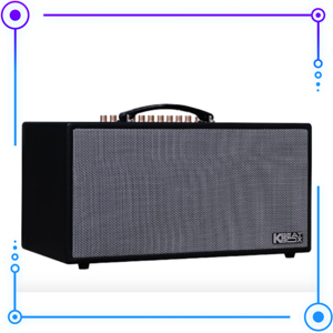 Loa karaoke di động Acnos HN447