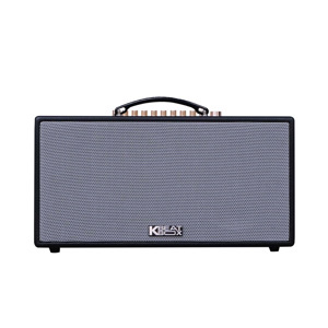 Loa karaoke di động Acnos HN447