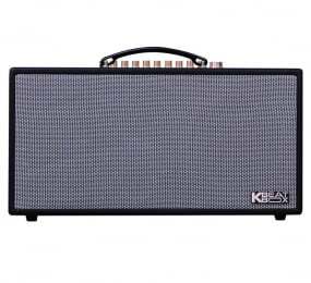 Loa karaoke di động Acnos HN450