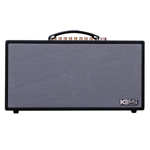 Loa karaoke di động Acnos HN450