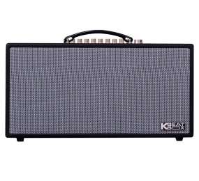 Loa karaoke di động Acnos HN450
