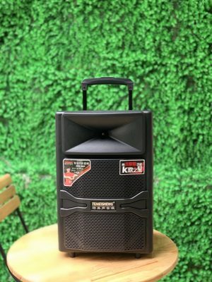 loa karaoke di động Temeisheng A12-44