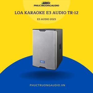 Loa Karaoke E3 TR-12