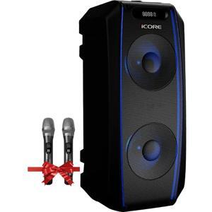 Loa Karaoke iCore i6