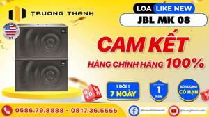 Loa karaoke JBL MK08