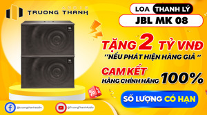 Loa karaoke JBL MK08