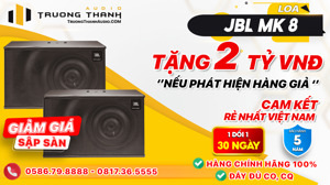 Loa karaoke JBL MK08