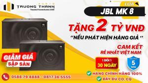 Loa karaoke JBL MK08