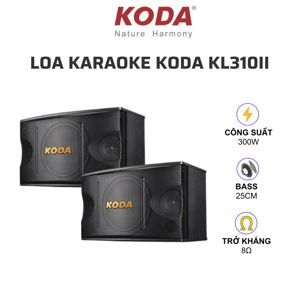 Loa karaoke Koda KL310II