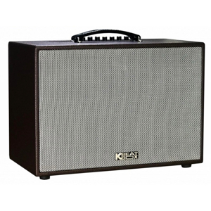 Loa karaoke mini Acnos CS250PU