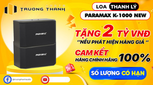 Loa karaoke Paramax K-1000