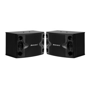 Loa Paramax P-500