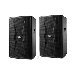 Loa karaoke Peavey CK 32