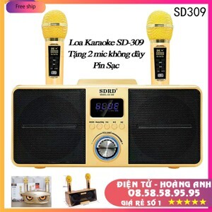 Loa karaoke SD-309