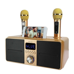 Loa karaoke SD-309