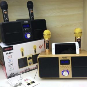 Loa karaoke SD-309