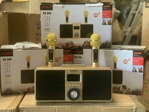 Loa karaoke SD-309