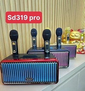 Loa karaoke SDRD SD-319