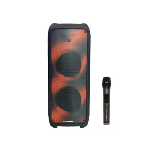Loa Karaoke Sumico BA-802PB
