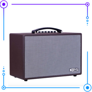 Loa kéo Acnos CS251PU