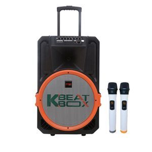 Loa kéo Acnos KB39X