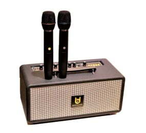 Loa kéo Best Sound M5