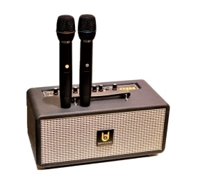 Loa kéo Best Sound M5
