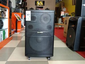 Loa kéo Bigsound DD-03