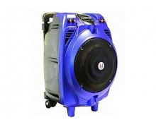 Loa kéo bluetooth BD-H085Y