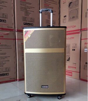 Loa kéo BNIB-1203 BASS 30