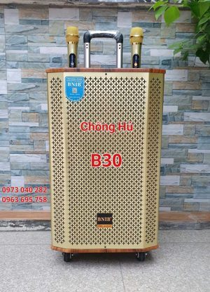 Loa kéo BNIB 1206A bass 30
